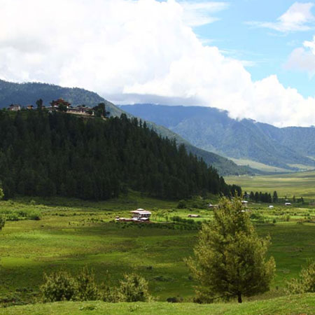 Bhutan Gangtey Trek