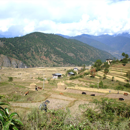 Bhutan Samtengang Trek